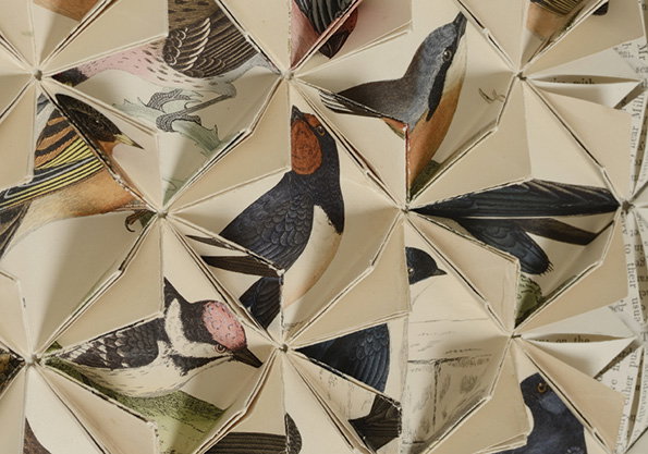 Birds-Colour_horizontal_32.jpg