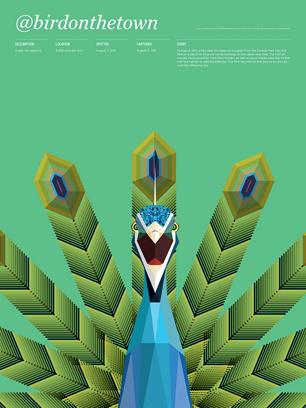 Animals_Loose_Birdonthetown.jpg