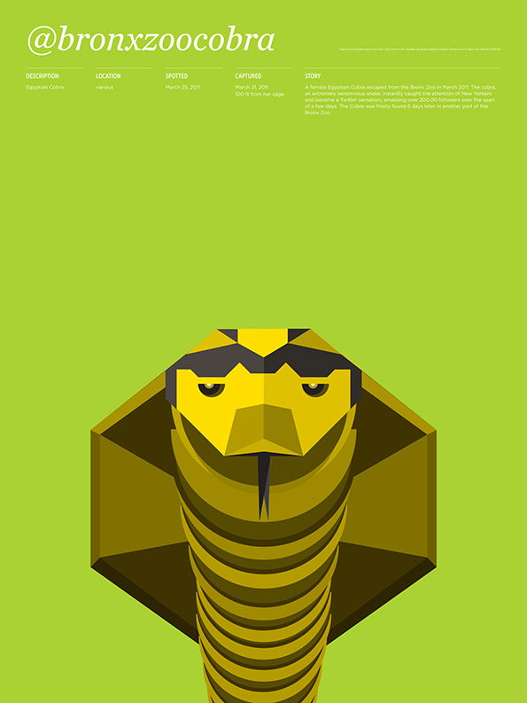 Animals_Loose_bronxzoocobra.jpg