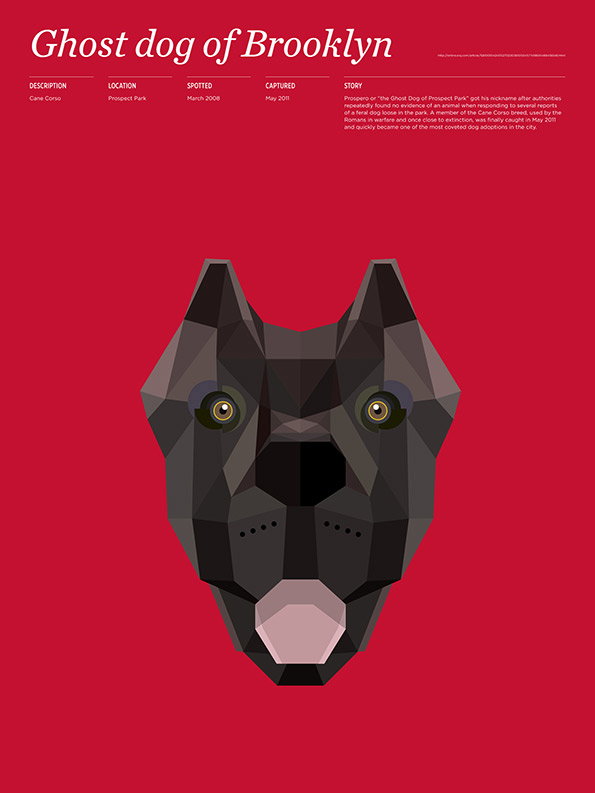 Animals_Loose_Ghostdog.jpg