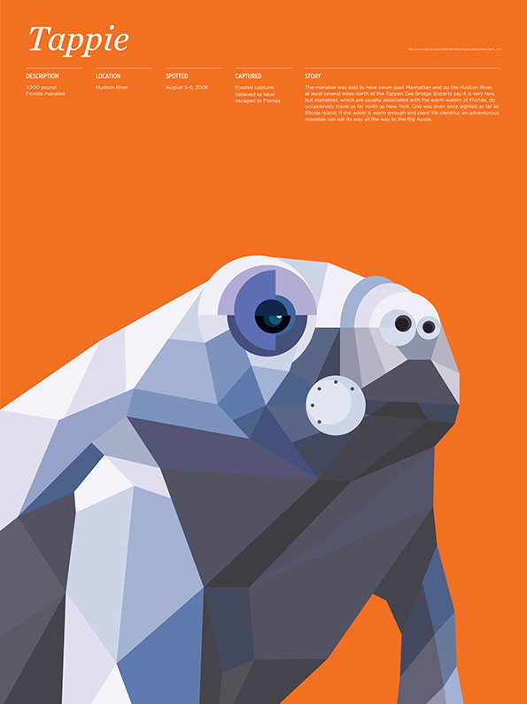 Animals_Loose_Tappie.jpg