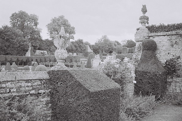 garden-marykatherine-1.jpg