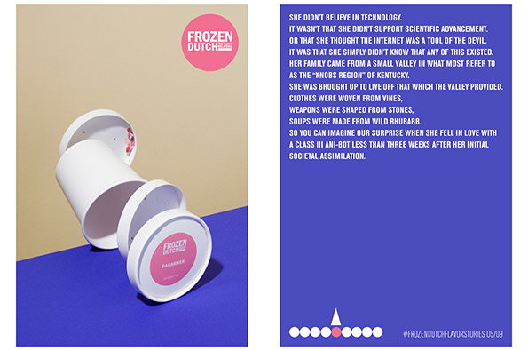 FD2013-STORIES6.jpg