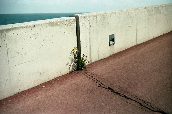 4540467374_3a2096937b_b.jpg