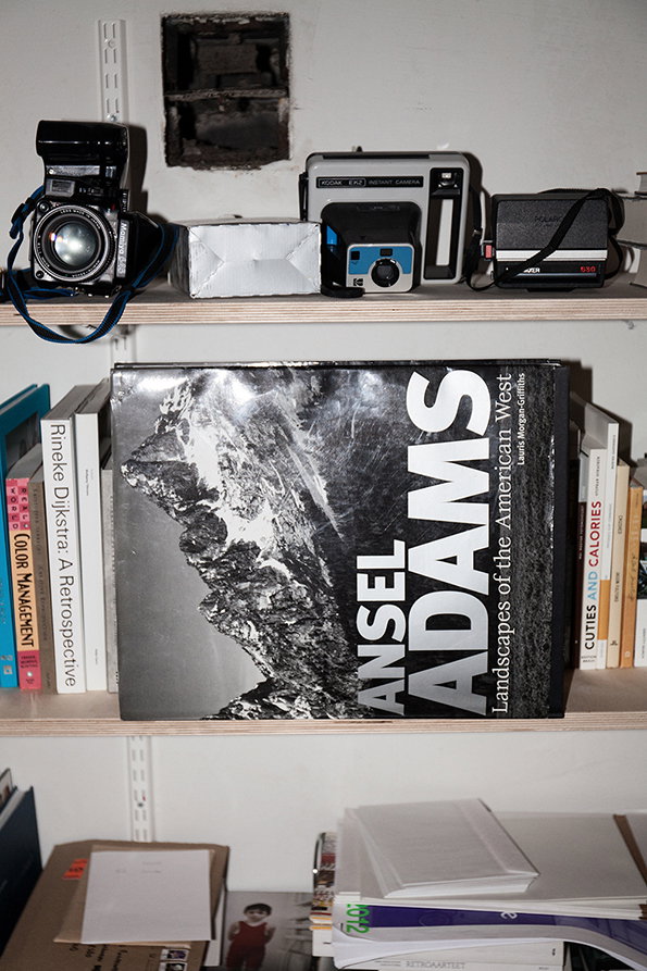 osma_INT_bookshelf_4_Ansel.jpg