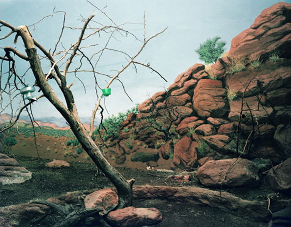 zoo_01.jpg