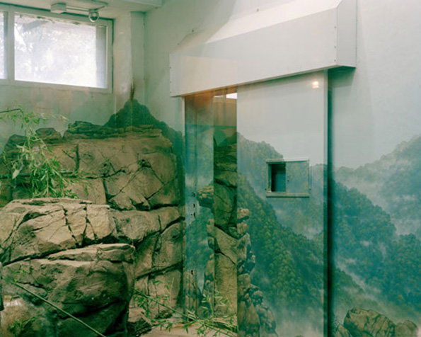 zoo_02.jpg