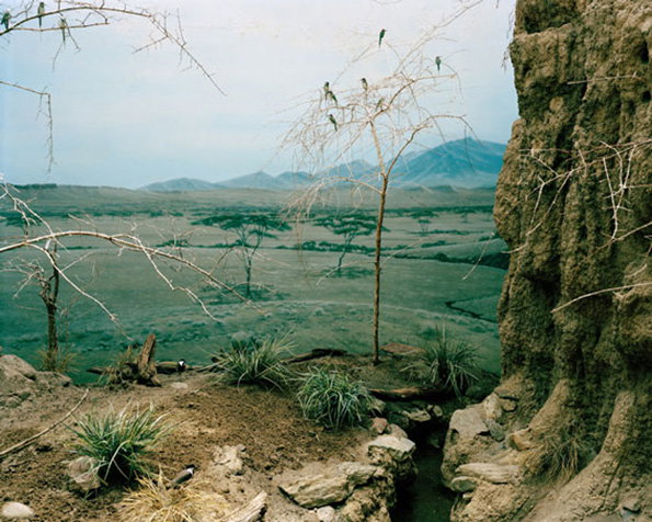 zoo_5.5.jpg