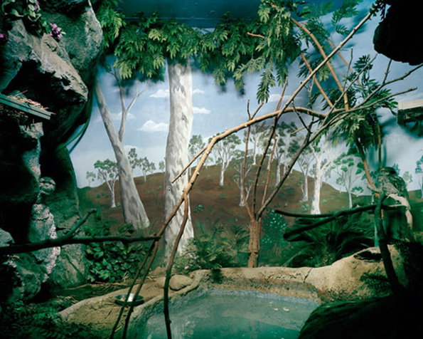 zoo_06.jpg