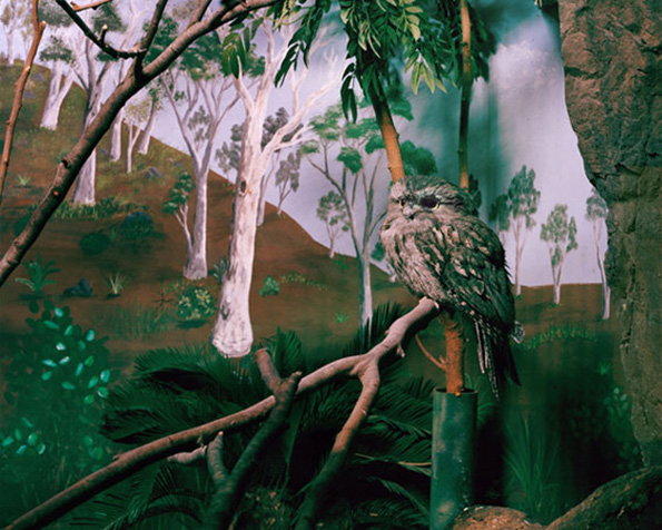 Zoo_07.jpg