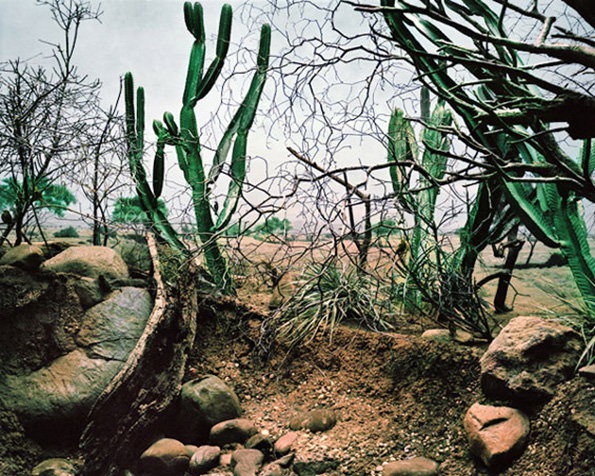 zoo_08.jpg