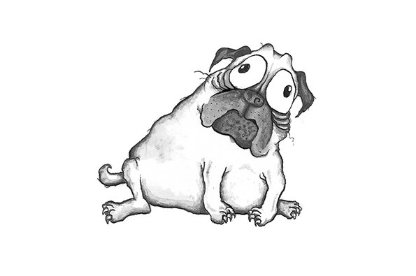 _18-Kevin-The-Pug.jpg