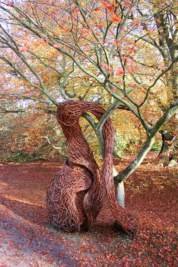 Forms-of-Growth_-Chatsworth_-Derbyshire_-2011.jpg