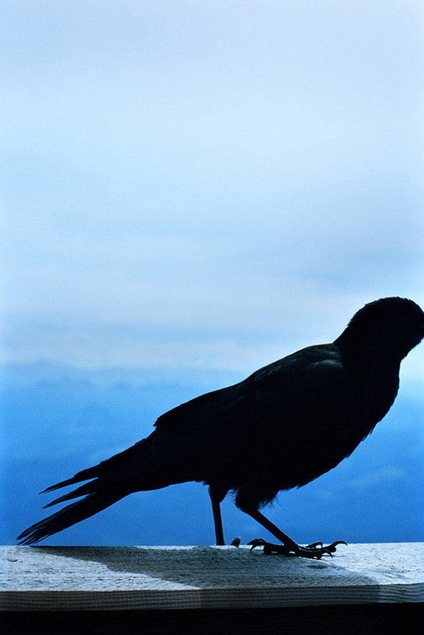 MP_untitled_2010.jpg