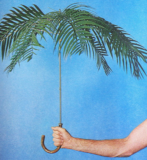 Philip_Garner__Palmbrella.jpg