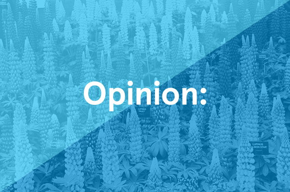 Opinion-LEAD.jpg