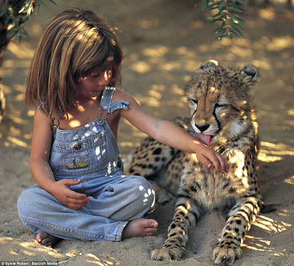 tippi.jpg