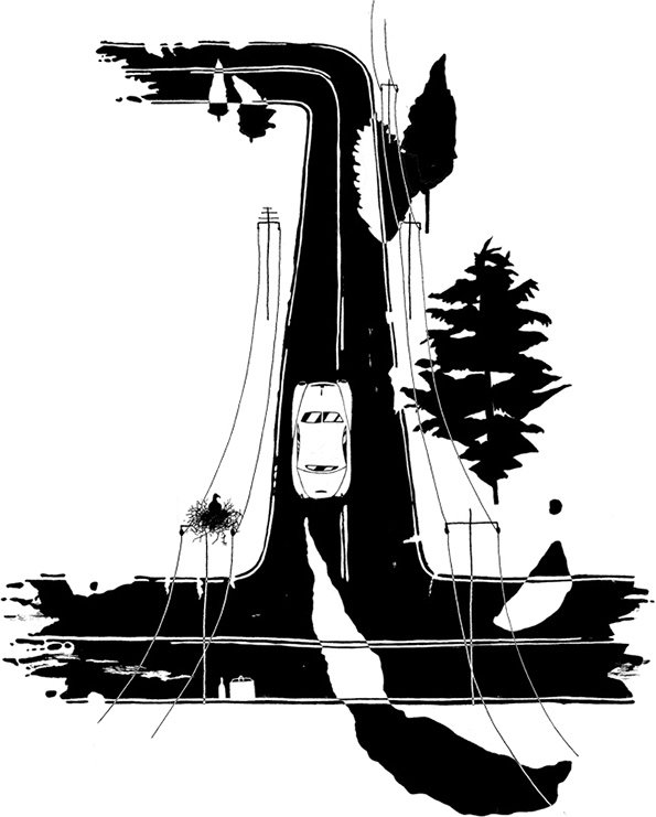 ELK-11.jpg