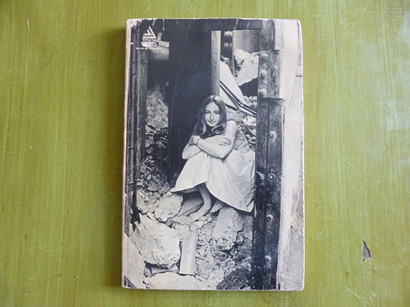 brautigan.jpg