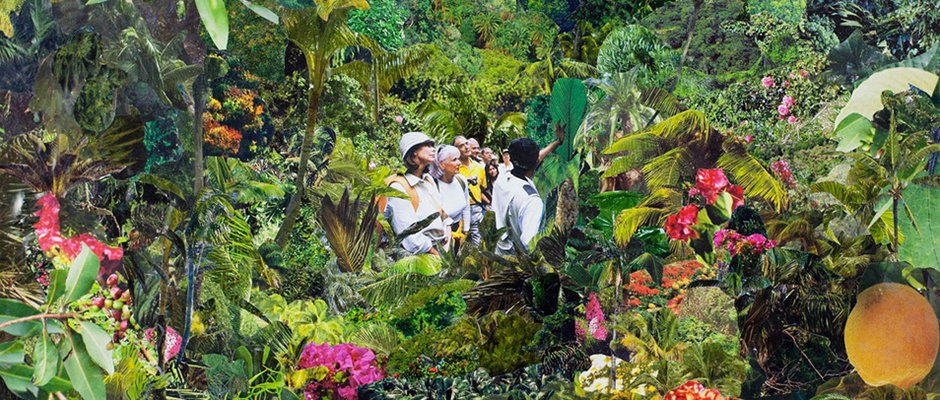 A digital collage of a group of people walking through a dense, surreal jungle. They are surrounded by oversized tropical leaves and bright pink and red flowers.