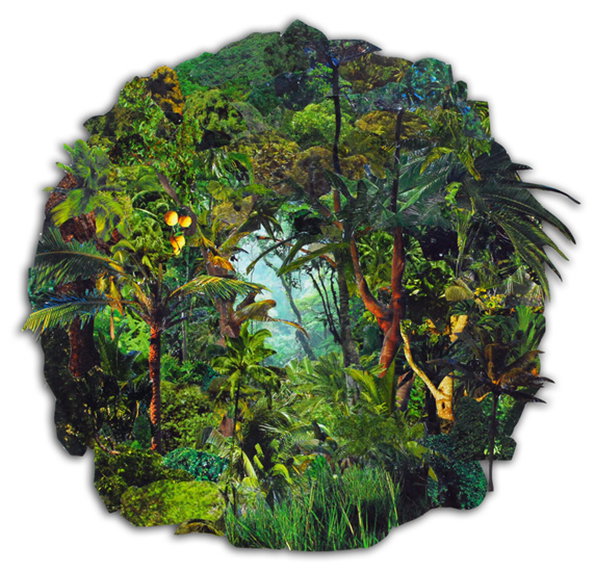 A collage of lush tropical foliage and palm trees arranged in a circular shape. The dense greenery is layered in various shades of emerald and lime against a white background.