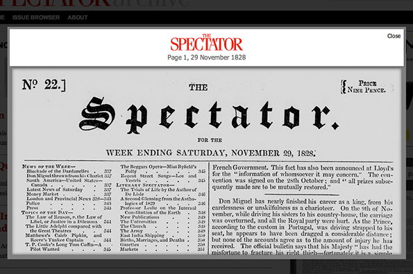 spectator2.jpg