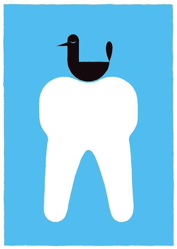 LeHavre_tooth1.jpg
