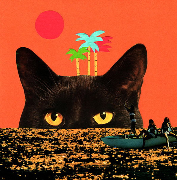 20_catisland.jpg