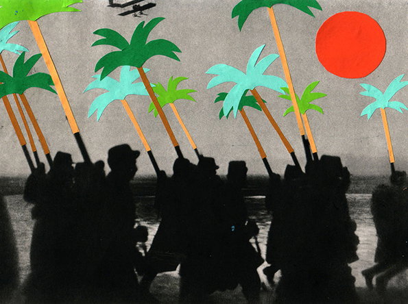 20_palmtrees.jpg