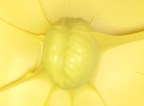 GreenGuys2-cropped.jpg