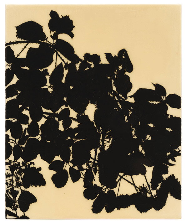 Eclipse_Bramble-or-Blackberry-Rubus-fruticosus_Edward-Chell_2013-EdwardChell.jpg