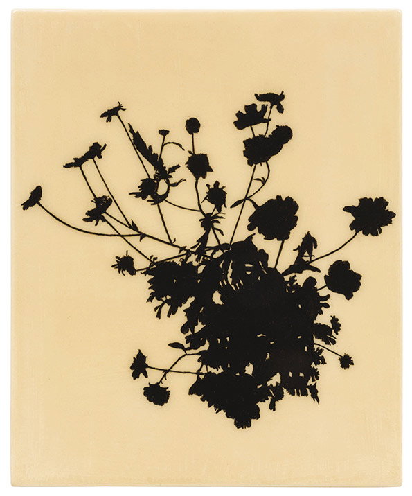 Eclipse_Feverfew-Tanacetum-parthenium_-Edward-Chell_2013.jpg
