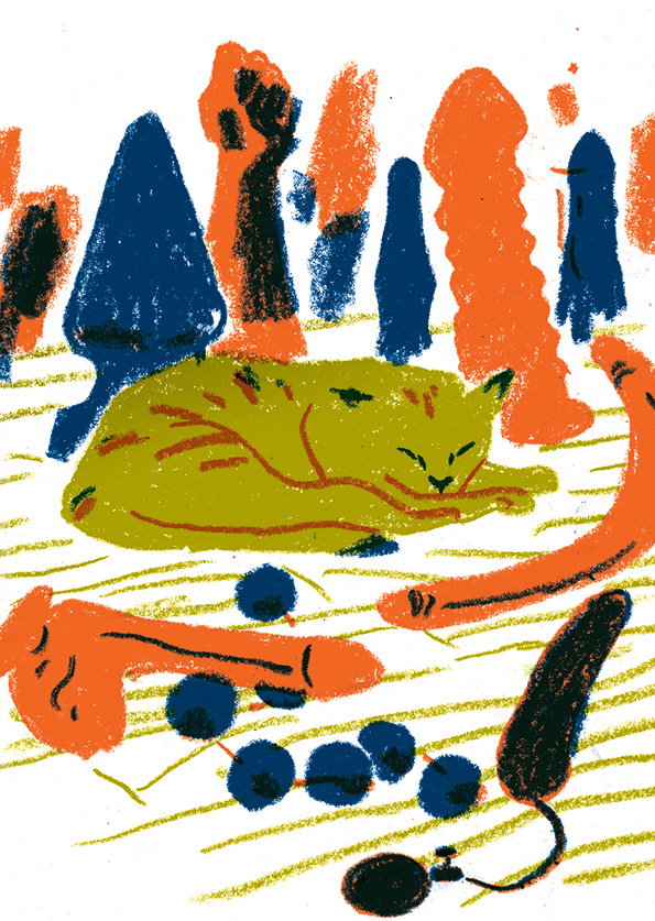 ASJ_Cat.jpg