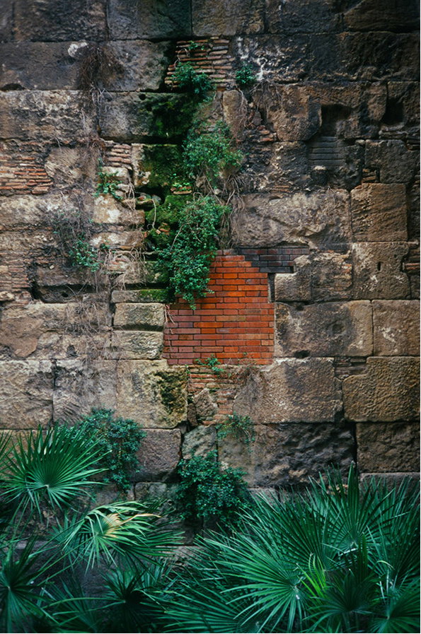 Porroche-2.jpg
