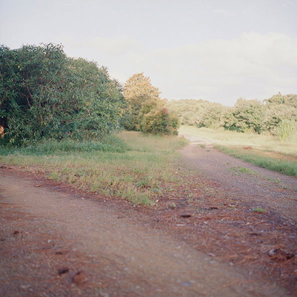 Land-3.jpg