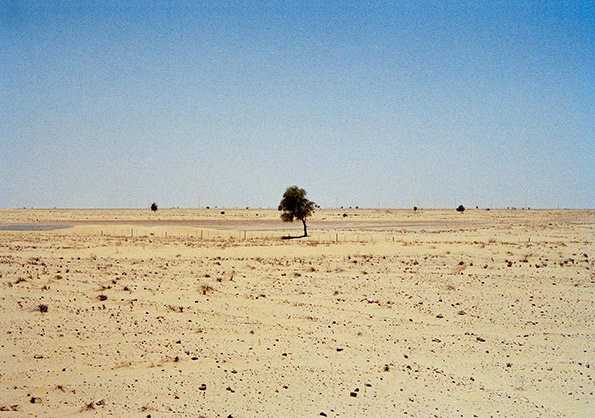 SaraNaim_Selection57.jpg