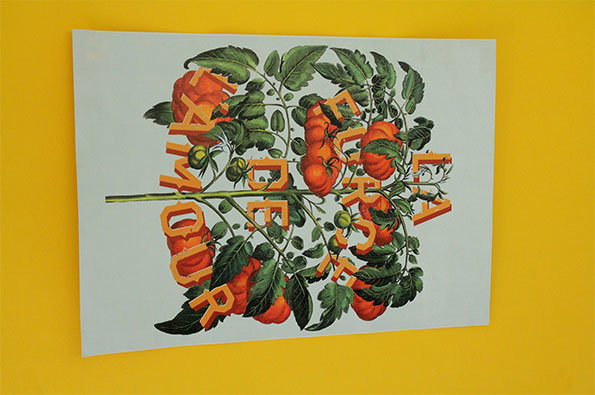 p4.jpg
