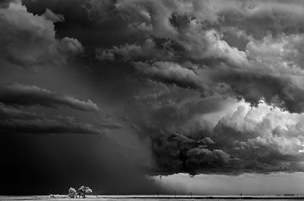 Dobrowner-Trees-Clouds.jpg
