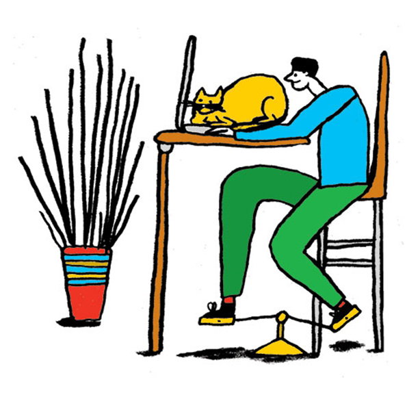 An illustration of a person sitting at a desk, their head replaced by a large yellow cat. The figure wears a blue top and green trousers, resting their arms on the desk in front of a laptop. To the left, a potted plant with long, thin stalks stands in a colourful striped pot.