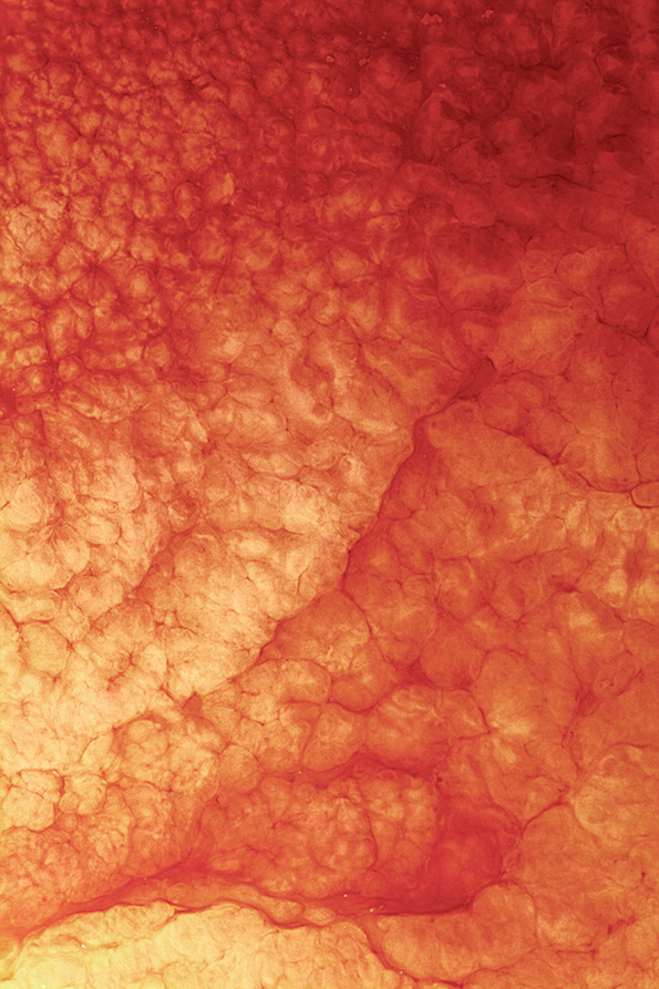 7.ORANGE_YELLOW_39.png