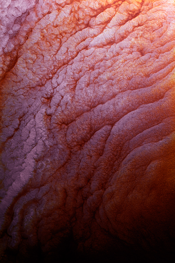 8.ORANGE_PINK_40.png