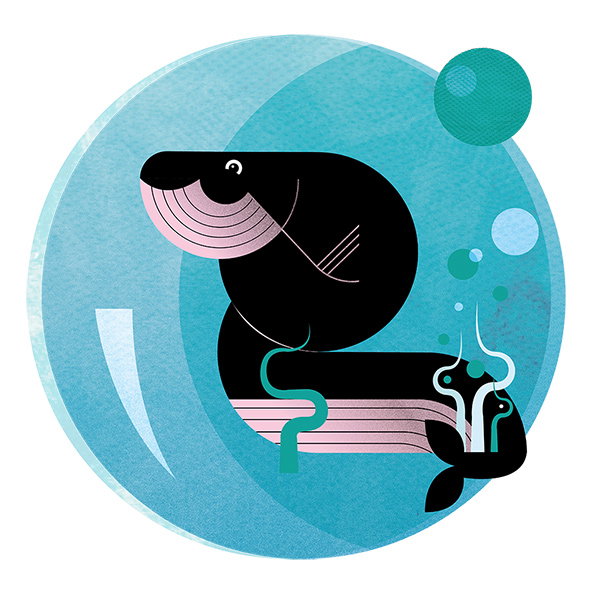 Whale.jpg