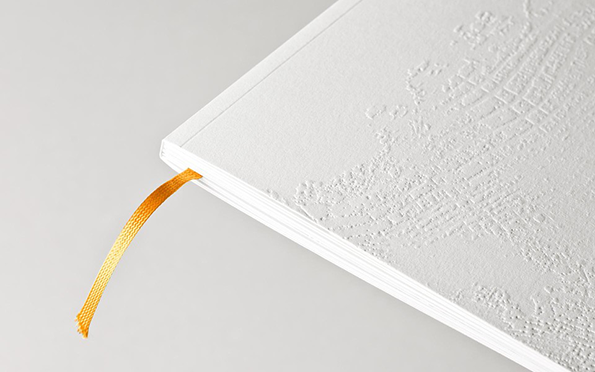 Katalog_Preg-closeup3-960x600.png