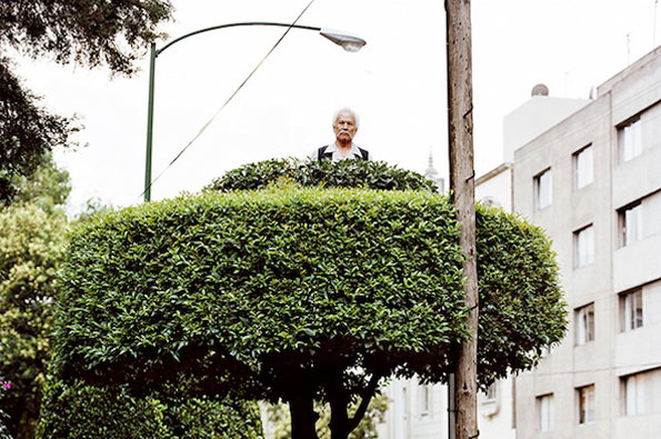 Miradors-top.jpg