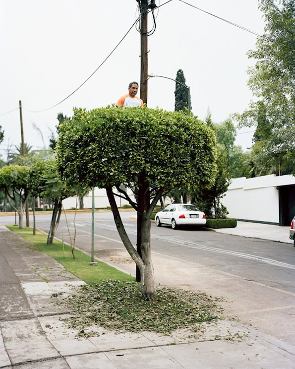 miradors7.jpg