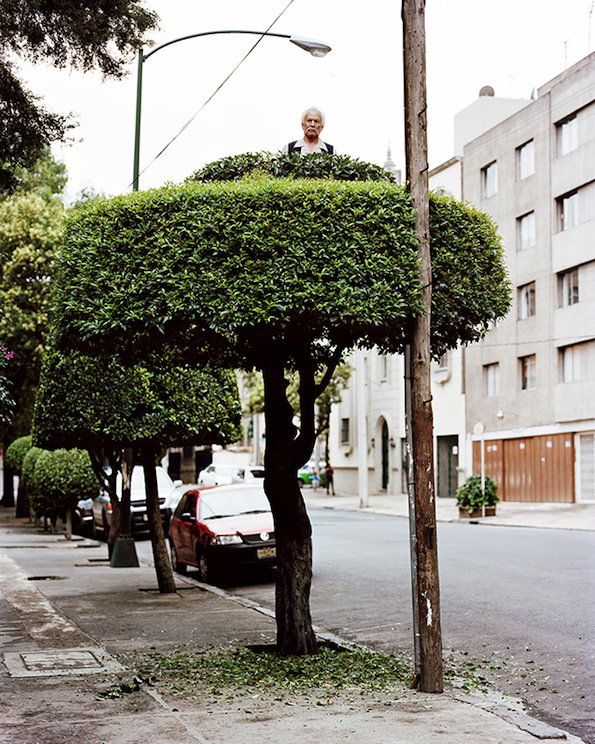 miradors1.jpg