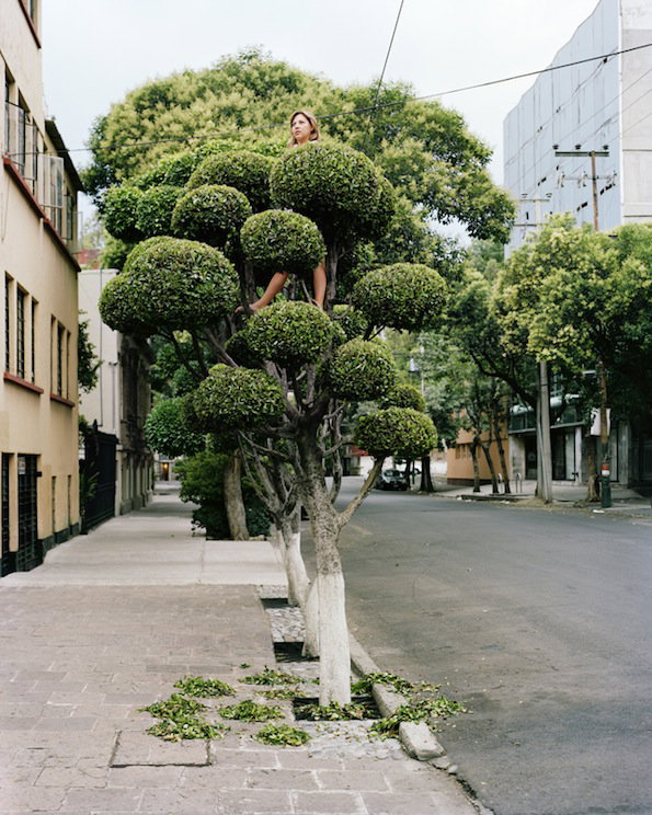 miradors8.jpg