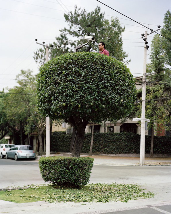 miradors3.jpg