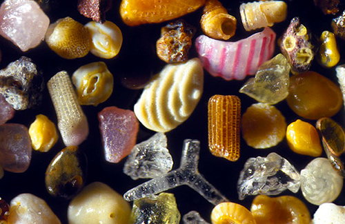 These are photos of grains of sand, magnified by Dr Gary Greenberg