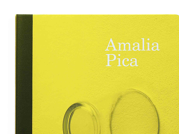 work-mca-pica-cover-detail.png